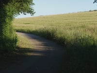 Heinerscheid von Tëntesmillen über Feierbech