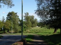 Heinrichstrasse von Schneidmühle