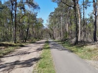 Hellendoornse Berg über Klinkenbeltweg