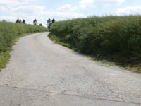 Hellgenheed über Schelsbaach