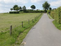 Hellgenheed über Schelsbaach