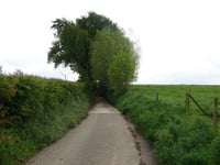 Helweg über Pleiweg