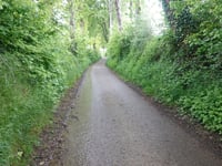 Helweg über Pleiweg