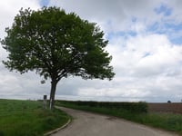 Helweg über Vlengendaal