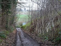 Helweg von Watersley