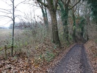 Helweg von Watersley