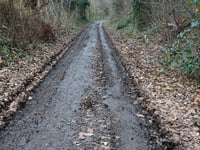 Helweg von Watersley