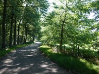 Hemelseberg
