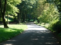 Hemelseberg