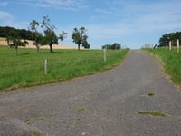 Hemgenberg über Wippertsweg