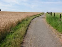 Hemgenberg über Wippertsweg