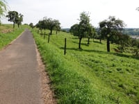 Hemgenberg über Wippertsweg