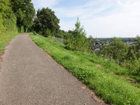 Hemgenberg über Wippertsweg