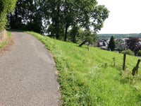 Hemgenberg über Wippertsweg
