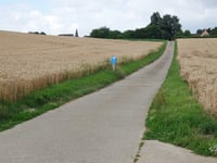 Heneberg