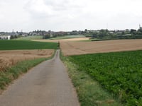Heneberg