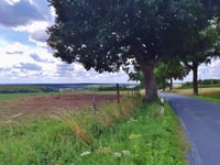 Billerbecker Strasse von Darup
