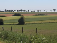 Henoville von Rimboval