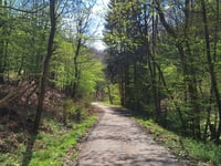 Herhahn von Höddelbach