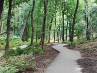 Herikhuizerweg von Velp