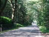 Het Hoge Goor via Goorsteeg