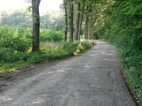 Het Uilenbos von Lunteren
