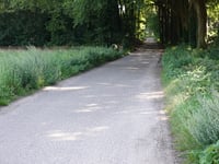 Het Uilenbos von Lunteren