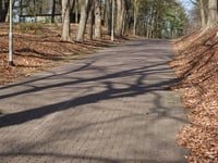 Het Vette Nijlpaard via Bosweg
