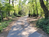 Hooge Hoenderberg von Groesbeek