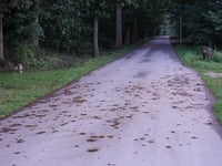 Jachtslot Mookerheide