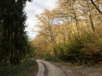 Hidegkút