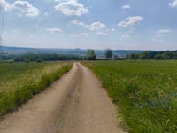 Hierschtbierg von Pétange