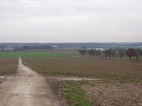 Hillensberger Steigerung von Lahrstrasse