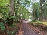 Himmelbjerget por Stenhusvej