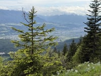 Hinterhorn Alm
