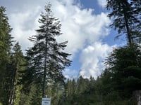 Hirschbichl von Weissbach bei Lofer