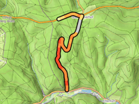 Hirschkopf da Lichtenau
