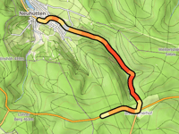Hirschkopf da Neuhütten