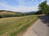 Wiesen am Hirtenborn from Niederheimbach