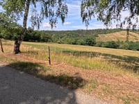 Wiesen am Hirtenborn from Niederheimbach