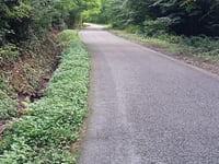 Hirtzenstein von Wattwiller