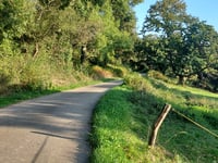 Hitte über Chemin de Caillavuris