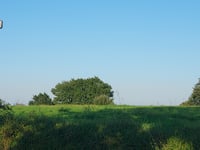 Hitte über Chemin de Caillavuris
