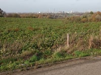 Hobbelrade from Spaubeek