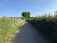 Hobbelrade from Spaubeek