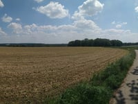 Hohe Mühle / Katzenberg desde Uedemerfeld
