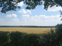Hohe Mühle / Katzenberg desde Uedemerfeld