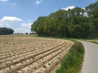 Hohe Mühle / Katzenberg desde Uedemerfeld