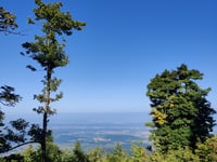 Hochblauen von Oberweiler