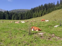 Hochfügen desde Fügen